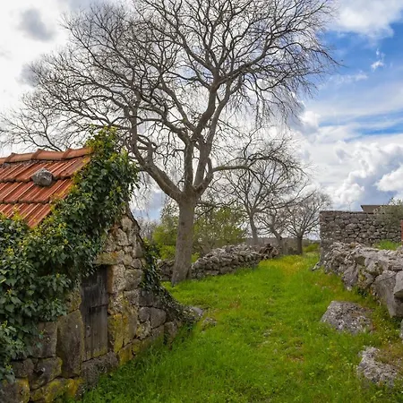 Budimir